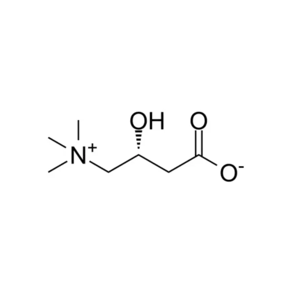 L-Carnitine - 500mg/mL - Image 2